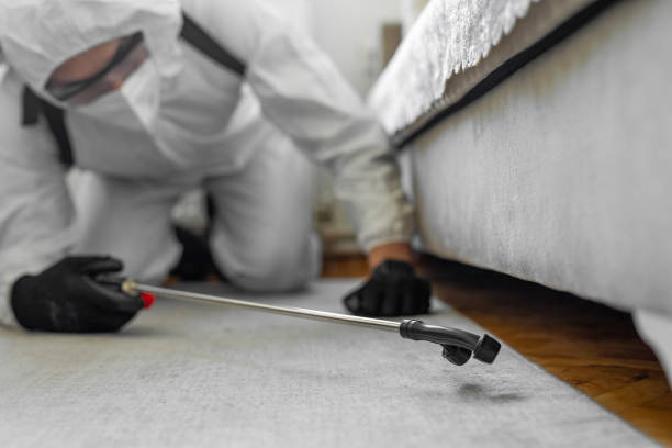 Professional Cockroach Control technician working in Silver Lake, NC