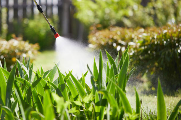 24/7 Emergency Cockroach Control experts in Silver Lake, NC