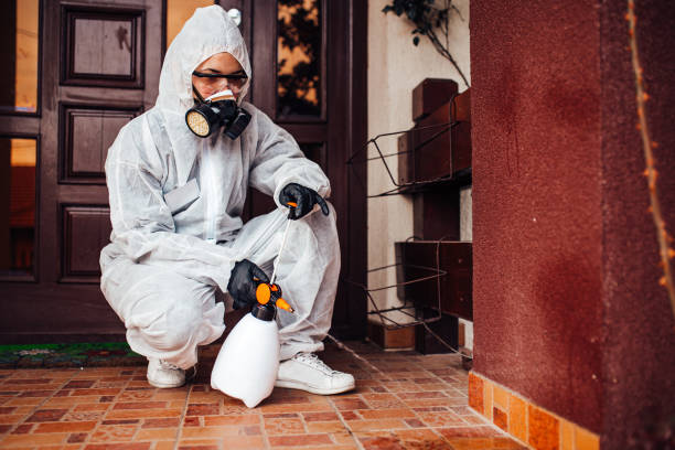 Reliable Cockroach Control contractor in Silver Lake, NC by Nex Pest Control